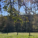 Countryside Views Near - Goats, Ducks & Chickens - Farm Experience Tatil Evi Sarlat-la-Canéda