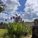 Tatil Evi Countryside Views Near - Goats, Ducks & Chickens - Farm Experience Sarlat-la-Canéda