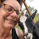 Countryside Views Near - Goats, Ducks & Chickens - Farm Experience Holiday home