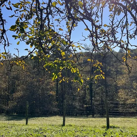 Blue Horizons Farm Ferienhaus Sarlat