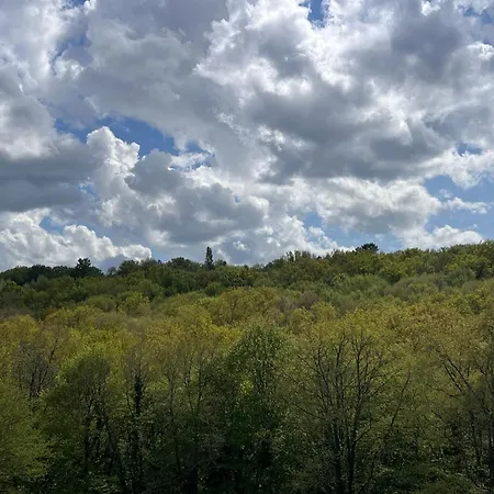 Countryside Views Near - Goats, Ducks & Chickens - Farm Experience * Sarlat-la-Caneda