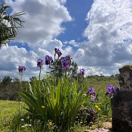 Ferienhaus Blue Horizons Farm Sarlat