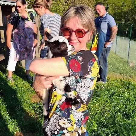 Countryside Views Near - Goats, Ducks & Chickens - Farm Experience Sarlat-la-Canéda