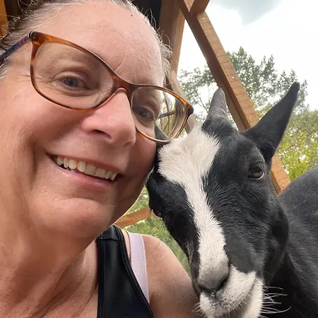 Countryside Views Near - Goats, Ducks & Chickens - Farm Experience Feriehus
