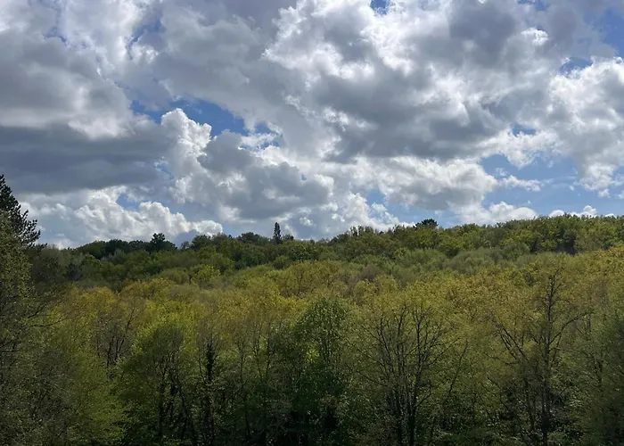 Blue Horizons Farm - Countryside - Pet Friendly - Sleeps 8 * Sarlat